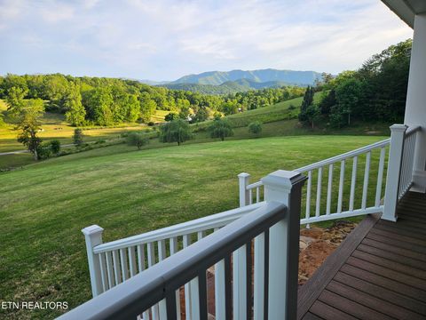 Tiny photo for 518 Old Cedar Creek Rd Rd, Townsend, TN 37882 (MLS # 1337980)