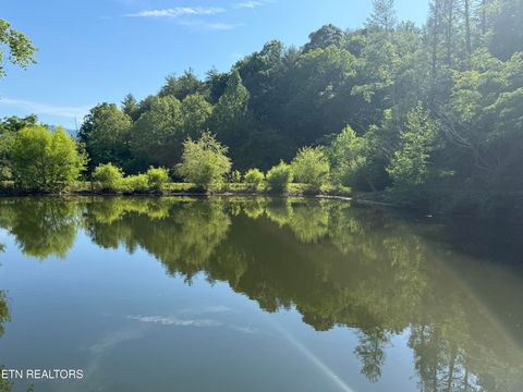 Tiny photo for 518 Old Cedar Creek Rd Rd, Townsend, TN 37882 (MLS # 1337980)