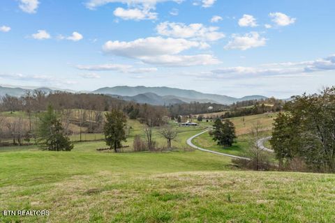 Tiny photo for 518 Old Cedar Creek Rd Rd, Townsend, TN 37882 (MLS # 1337980)