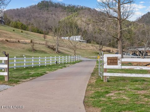 Tiny photo for 518 Old Cedar Creek Rd Rd, Townsend, TN 37882 (MLS # 1337980)