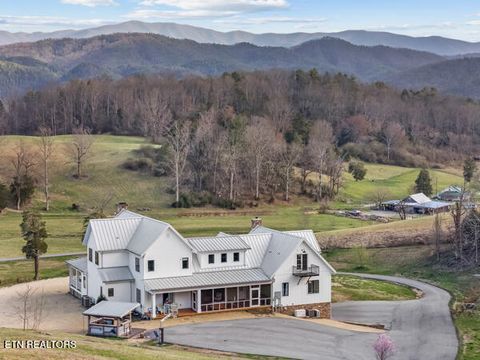 Tiny photo for 518 Old Cedar Creek Rd Rd, Townsend, TN 37882 (MLS # 1337980)