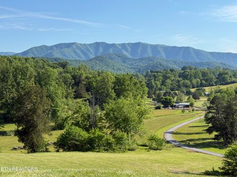 Tiny photo for 518 Old Cedar Creek Rd Rd, Townsend, TN 37882 (MLS # 1337980)
