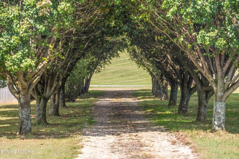 Tiny photo for 1569 Niles Ferry Rd, Madisonville, TN 37354 (MLS # 1319668)