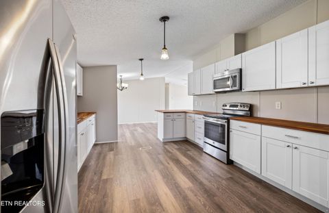 Tiny photo for 1569 Niles Ferry Rd, Madisonville, TN 37354 (MLS # 1319668)