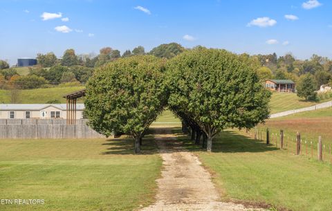 Tiny photo for 1569 Niles Ferry Rd, Madisonville, TN 37354 (MLS # 1319668)