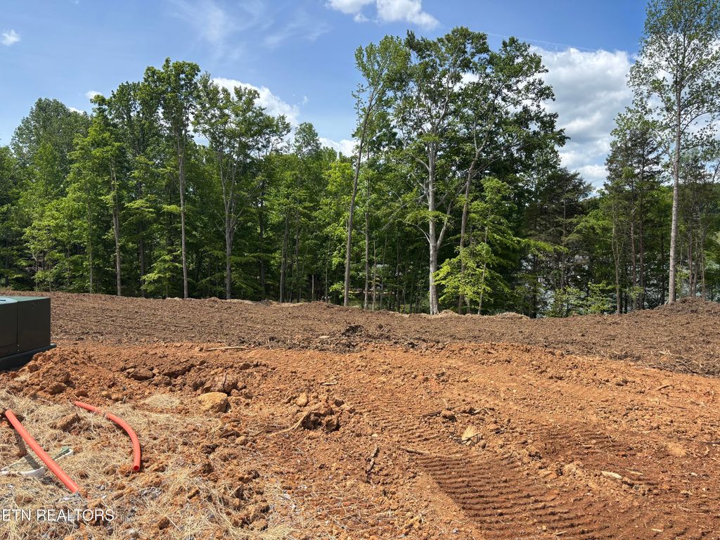 Photo of 139 Agaya Trail, Vonore, TN 37885 (MLS # 1338475)
