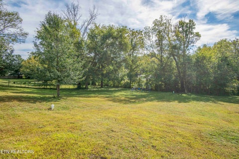 Tiny photo for 613 Glendale Ave, Clinton, TN 37716 (MLS # 1357332)