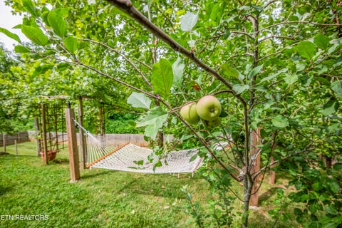 Tiny photo for 2000 Country Brook Lane, Knoxville, TN 37921 (MLS # 1345939)