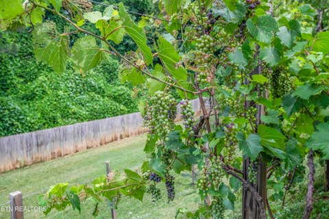 Tiny photo for 2000 Country Brook Lane, Knoxville, TN 37921 (MLS # 1345939)
