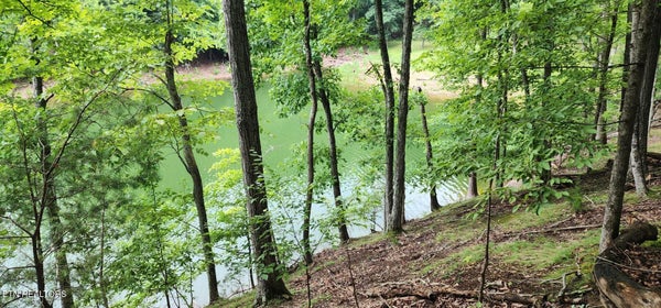 2109 KAHITI CT, MOORESBURG, TN 37811 - Image 17ff64009092a3d64443bc14edaa40d1/3618349711