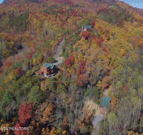Tiny photo for 909 Fawn Hollow Tr, Townsend, TN 37882 (MLS # 1339697)