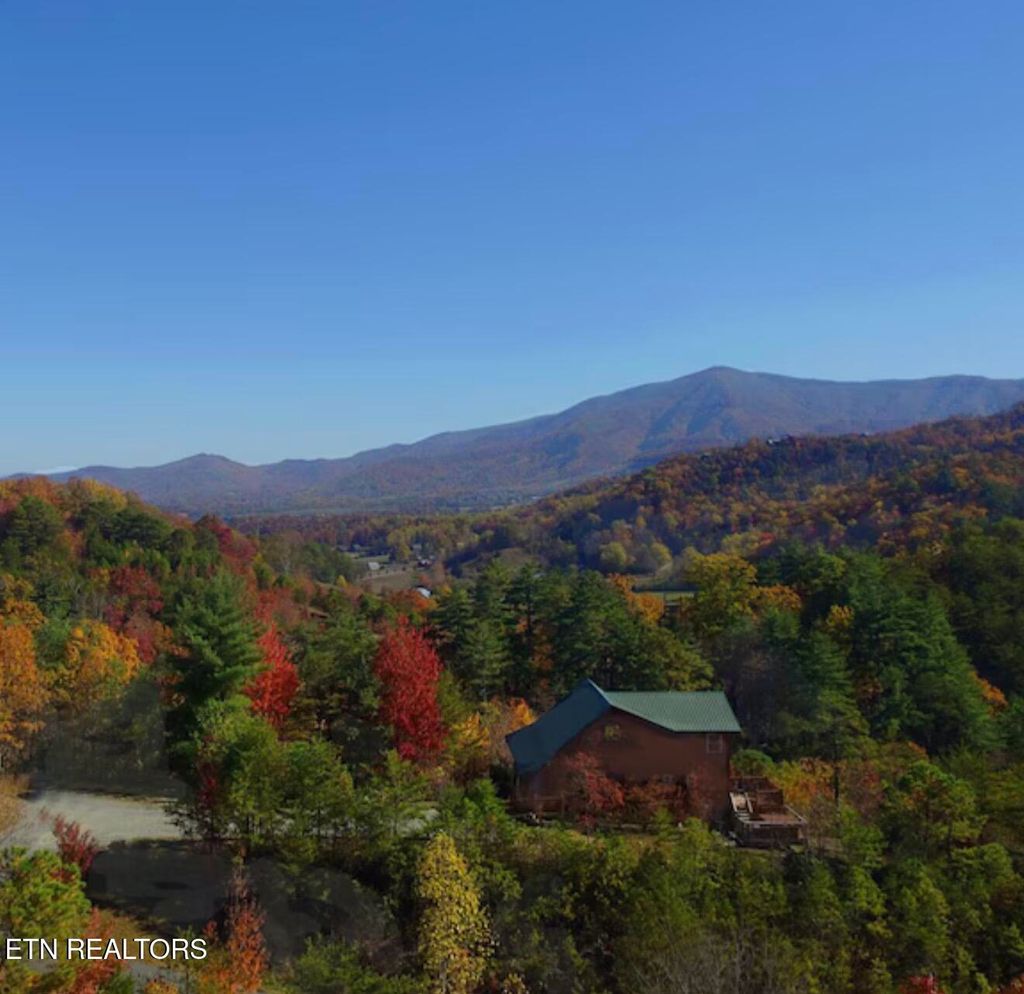Photo of 909 Fawn Hollow Tr, Townsend, TN 37882 (MLS # 1339697)