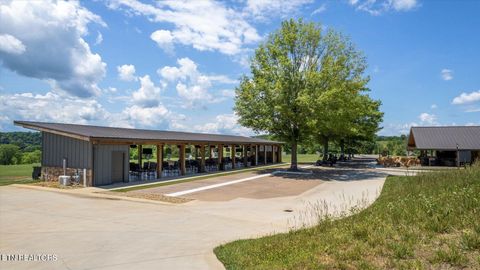 Tiny photo for 1700 Black Bear Circle, Loudon, TN 37774 (MLS # 1326405)