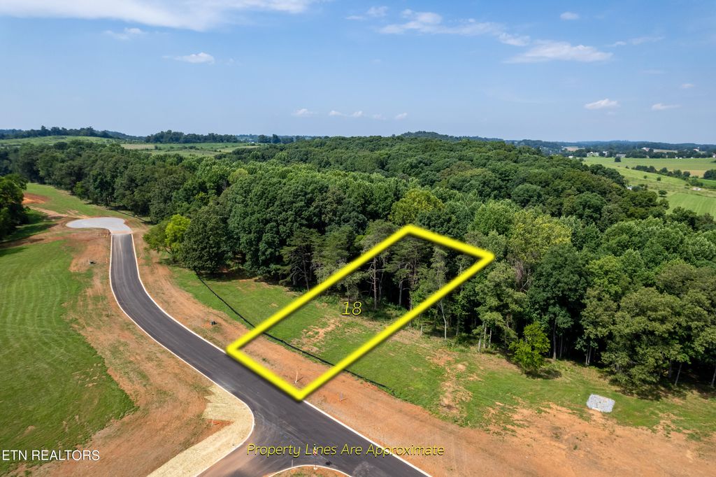 Photo of 181004 Sophie Drive, Greenback, TN 37742 (MLS # 1239362)