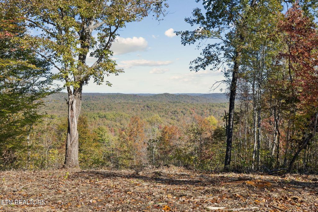 Photo of Sheep Ranch Rd., Robbins, TN 37852 (MLS # 1324752)