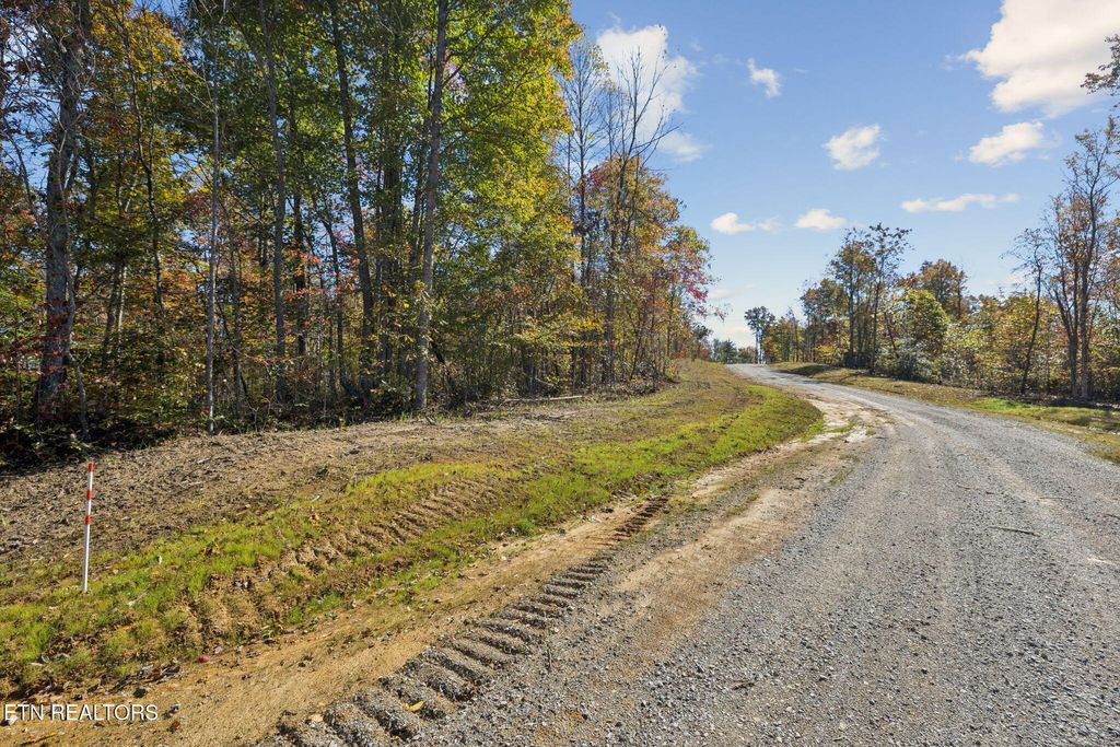 Photo of Sheep Ranch Rd., Robbins, TN 37852 (MLS # 1324752)