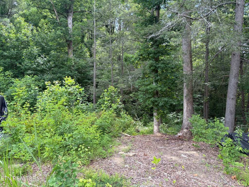 Photo of 2708 Dayne Drive, Sevierville, TN 37876 (MLS # 1344508)