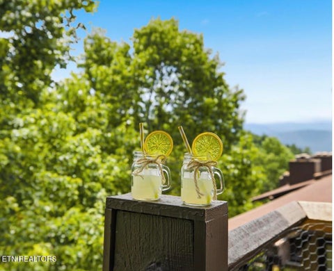 Tiny photo for 1081 Cove Rd #APT 534, Sevierville, TN 37876 (MLS # 1349509)