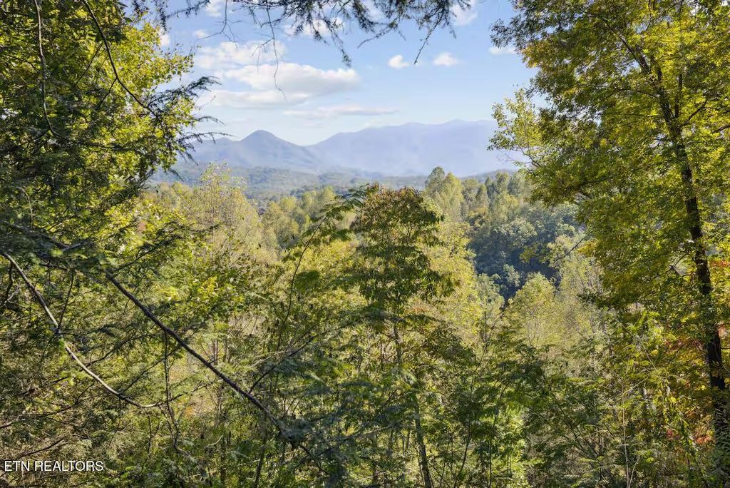 Photo of 552 Galloway Lane, Gatlinburg, TN 37738 (MLS # 1348763)