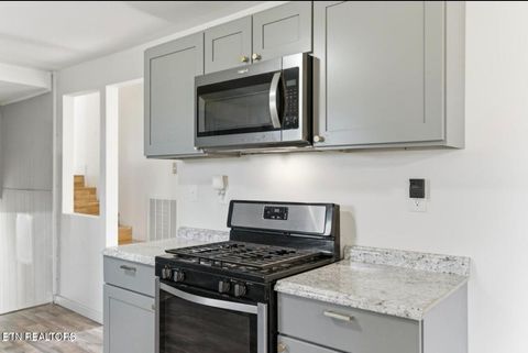 Tiny photo for 444 Island Ford Rd, Lancing, TN 37770 (MLS # 1331424)