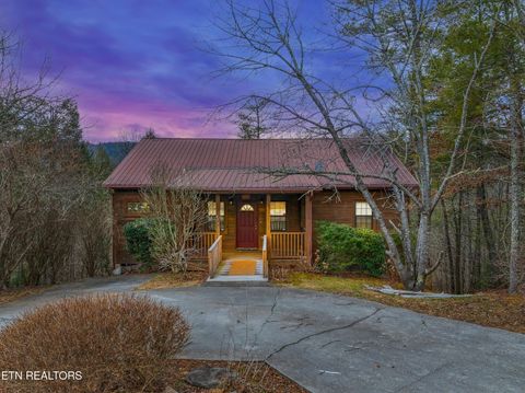 Tiny photo for 129 Cutter Gap Rd, Townsend, TN 37882 (MLS # 1328906)