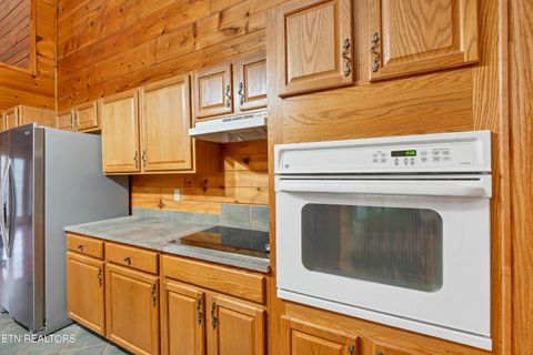 Tiny photo for 129 Cutter Gap Rd, Townsend, TN 37882 (MLS # 1328906)