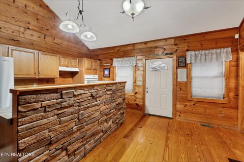 Tiny photo for 129 Cutter Gap Rd, Townsend, TN 37882 (MLS # 1328906)