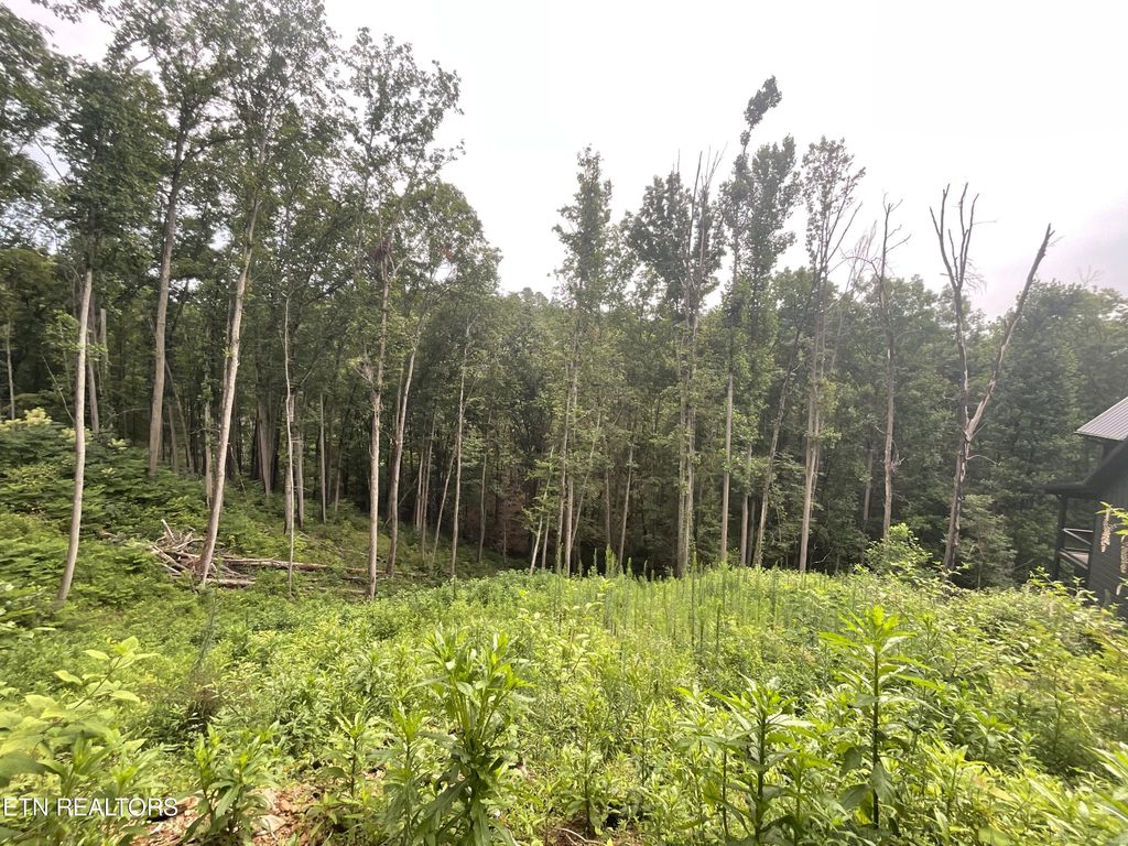 Photo of 2609 Whipoorwill Hill Way, Pigeon Forge, TN 37862 (MLS # 1271151)