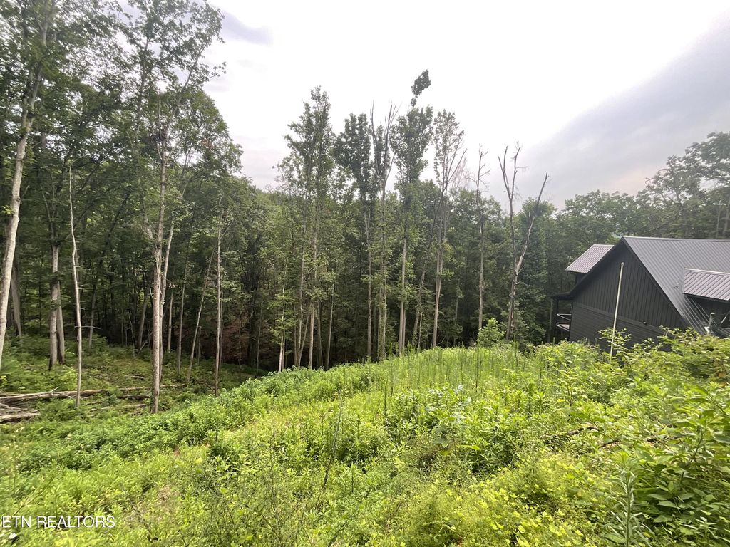 Photo of 2609 Whipoorwill Hill Way, Pigeon Forge, TN 37862 (MLS # 1271151)