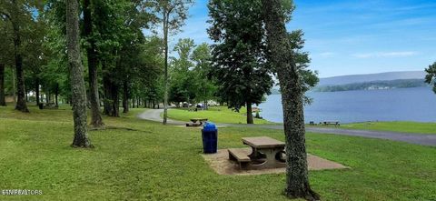 Tiny photo for 19 Dogwood Cove Drive, Spring City, TN 37381 (MLS # 1329434)