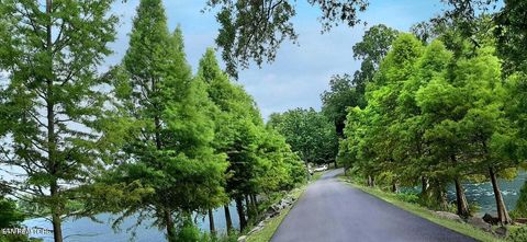 Tiny photo for 19 Dogwood Cove Drive, Spring City, TN 37381 (MLS # 1329434)