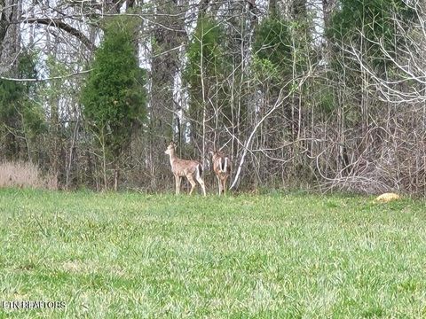 Tiny photo for 19 Dogwood Cove Drive, Spring City, TN 37381 (MLS # 1329434)