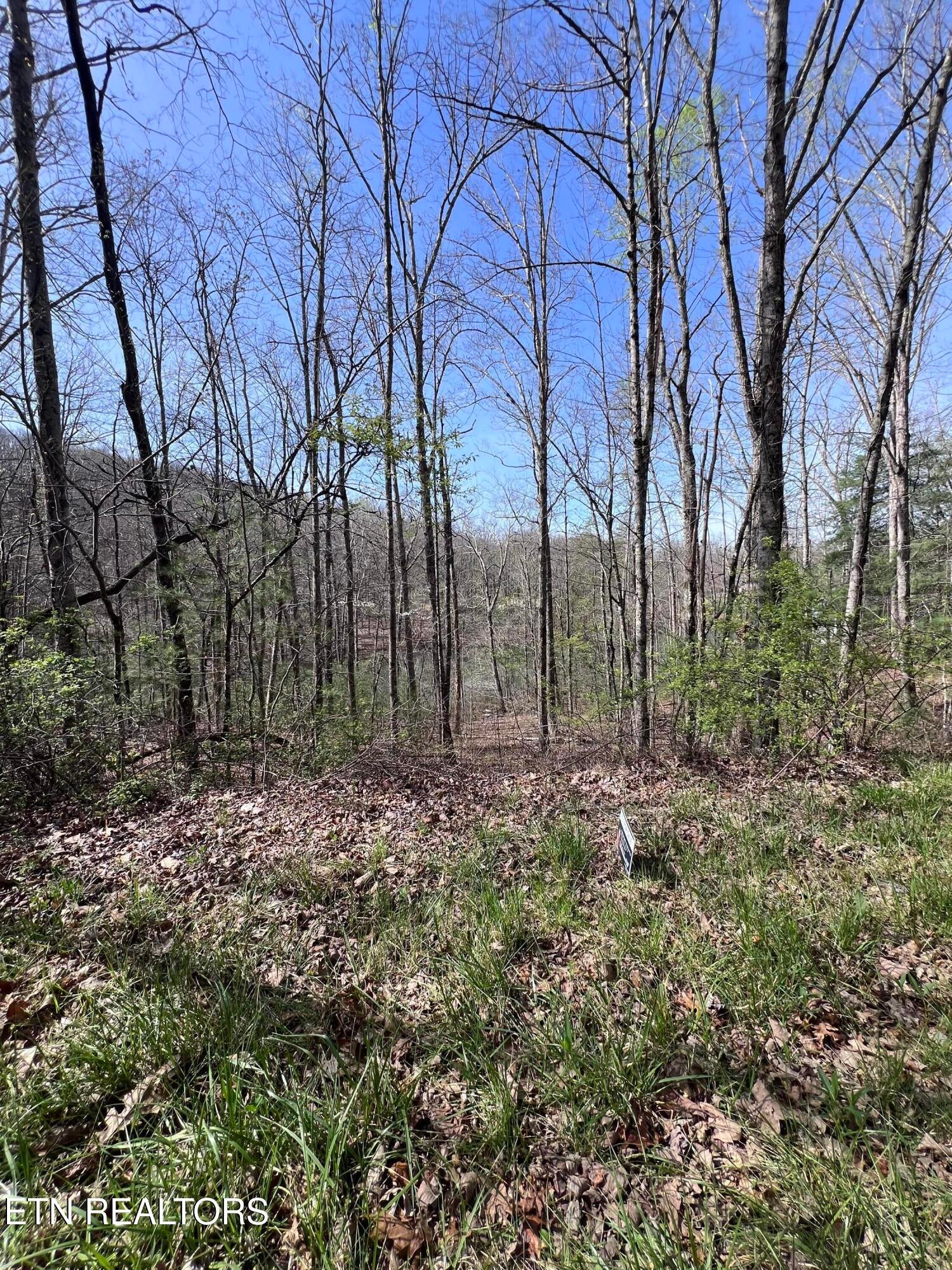 0.19 ac Hickory Hollow Rd