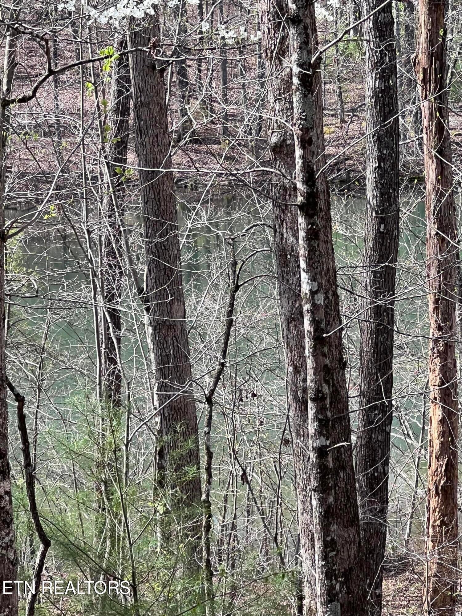 0.19 ac Hickory Hollow Rd