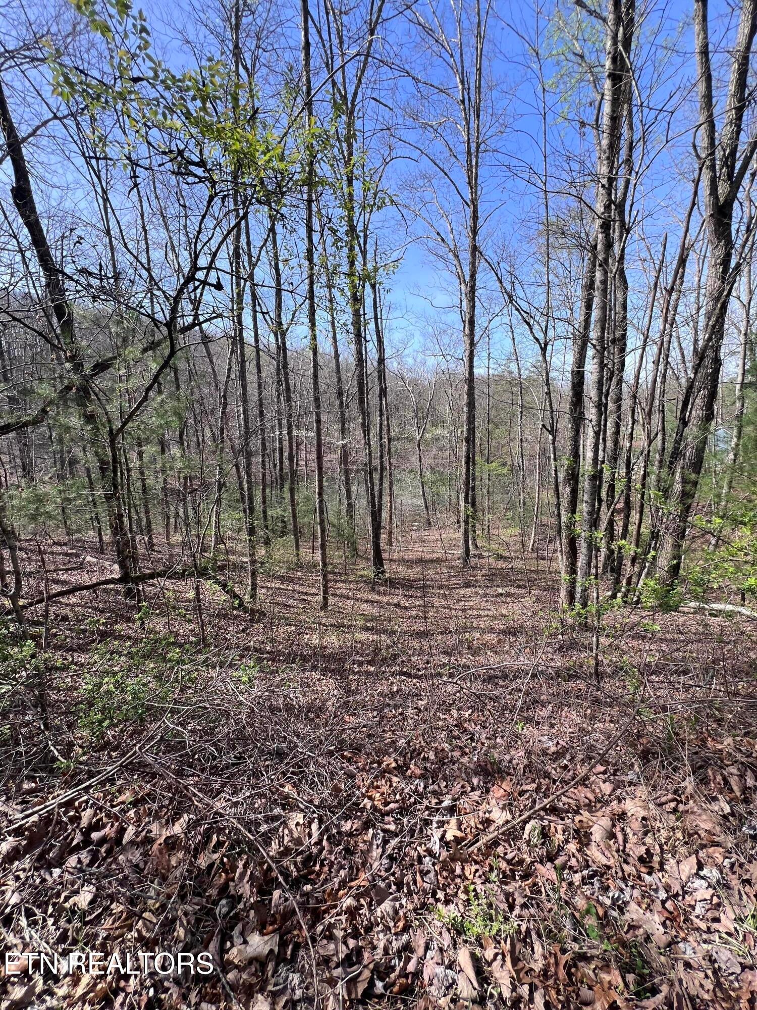 0.19 ac Hickory Hollow Rd