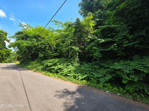 Photo of 218 Shipman Drive, Knoxville, TN 37918 (MLS # 1341112)