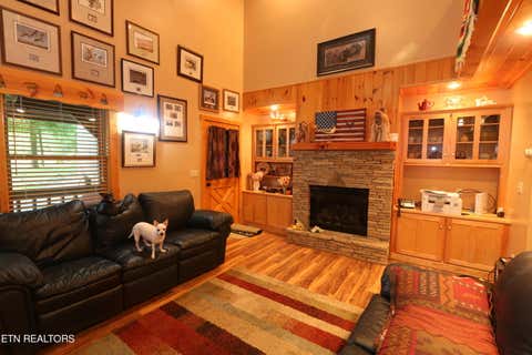 Tiny photo for 351 Warrior Ridge Way, Cosby, TN 37722 (MLS # 1349798)
