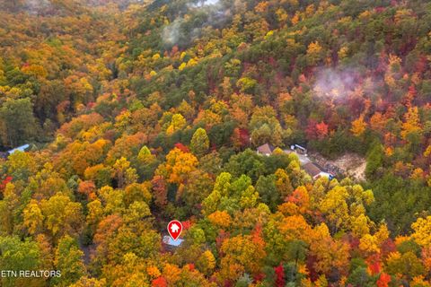 Tiny photo for 1053 Reagan Springs Rd, Seymour, TN 37865 (MLS # 1321107)