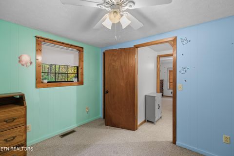 Tiny photo for 1053 Reagan Springs Rd, Seymour, TN 37865 (MLS # 1321107)
