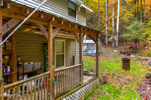 Tiny photo for 1053 Reagan Springs Rd, Seymour, TN 37865 (MLS # 1321107)