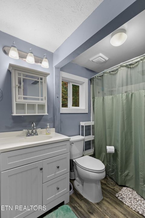 Tiny photo for 1053 Reagan Springs Rd, Seymour, TN 37865 (MLS # 1321107)