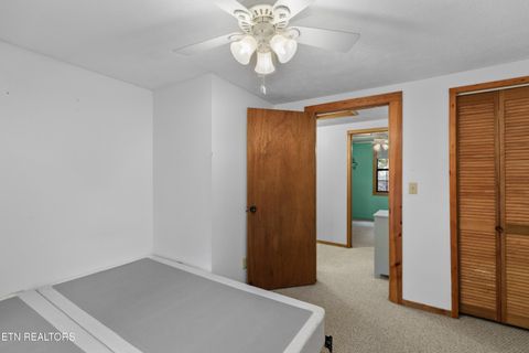 Tiny photo for 1053 Reagan Springs Rd, Seymour, TN 37865 (MLS # 1321107)