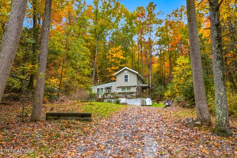 Tiny photo for 1053 Reagan Springs Rd, Seymour, TN 37865 (MLS # 1321107)