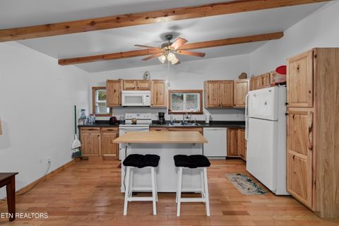 Tiny photo for 1053 Reagan Springs Rd, Seymour, TN 37865 (MLS # 1321107)