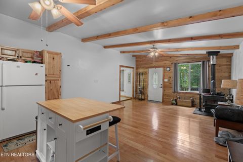 Tiny photo for 1053 Reagan Springs Rd, Seymour, TN 37865 (MLS # 1321107)