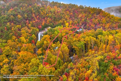 Tiny photo for 1053 Reagan Springs Rd, Seymour, TN 37865 (MLS # 1321107)