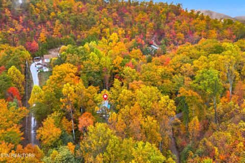 Tiny photo for 1053 Reagan Springs Rd, Seymour, TN 37865 (MLS # 1321107)