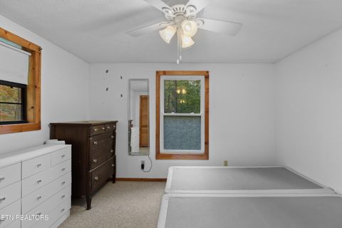 Tiny photo for 1053 Reagan Springs Rd, Seymour, TN 37865 (MLS # 1321107)