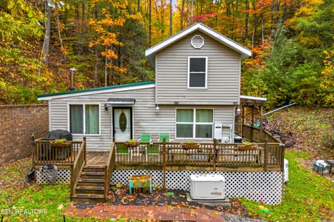 Tiny photo for 1053 Reagan Springs Rd, Seymour, TN 37865 (MLS # 1321107)