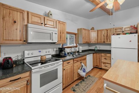 Tiny photo for 1053 Reagan Springs Rd, Seymour, TN 37865 (MLS # 1321107)